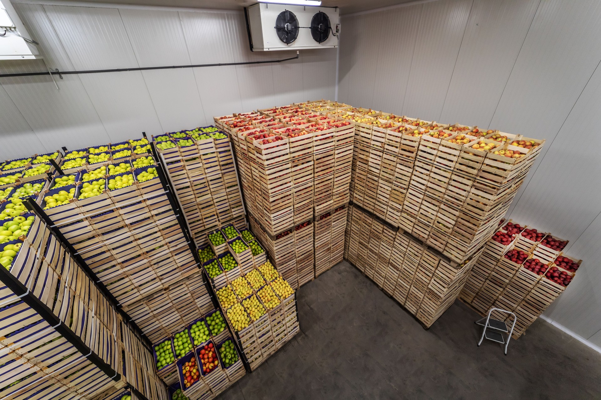 Fruits in crates ready for shipping. Cold storage interior.